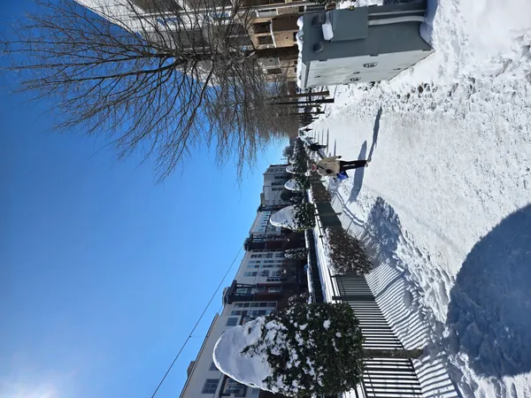 Morning Freeze and Afternoon Thaw: Charlotte Navigates Post-Blizzard Hazards